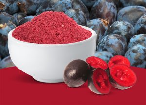 Freeze dried Davidson Plum