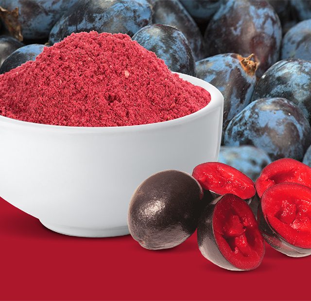 Freeze dried Davidson Plum